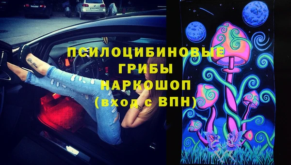 бошки Алексин
