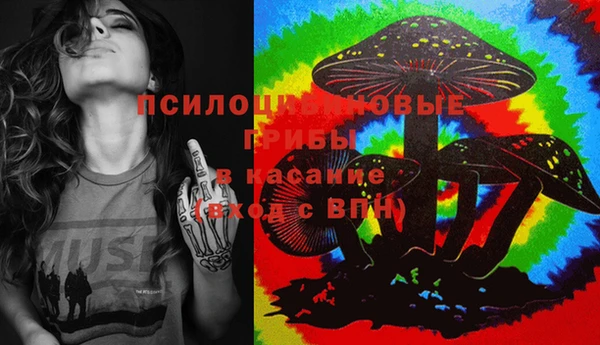 бошки Алексин
