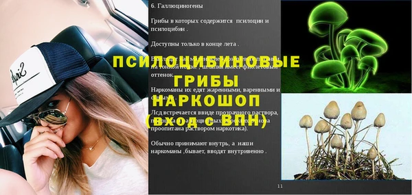 бошки Алексин