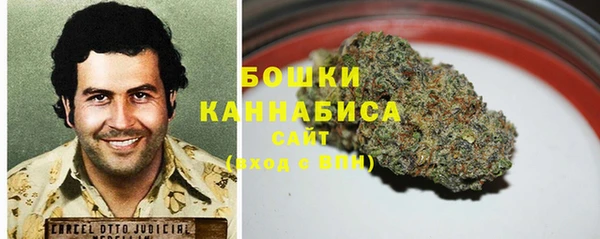 бошки Алексин