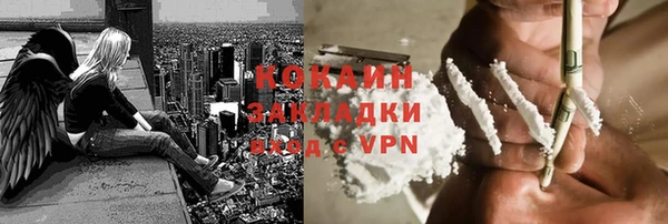 бошки Алексин