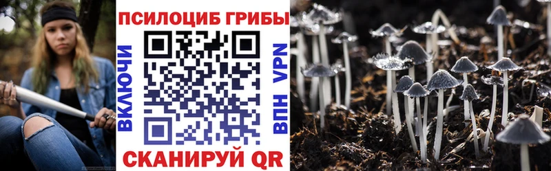 Галлюциногенные грибы мицелий  как найти закладки  Жирновск 
